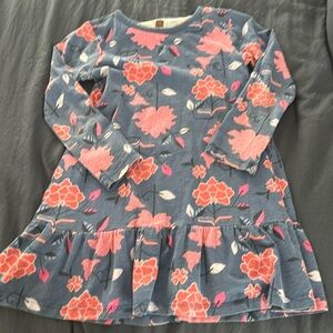 Tea size 5 long sleeve dress